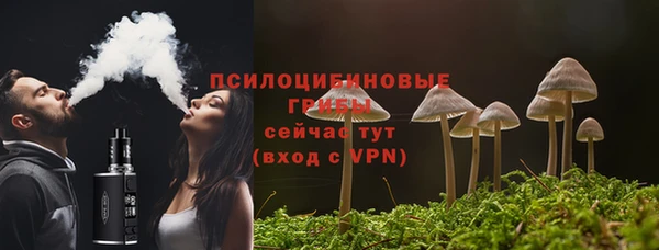 мет Медвежьегорск