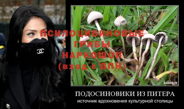 ГАЛЛЮЦИНОГЕННЫЕ ГРИБЫ Михайловск