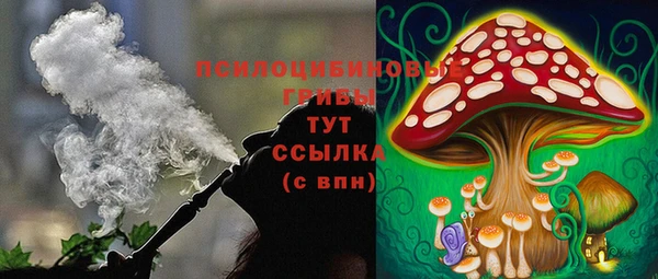 ешки Богородицк