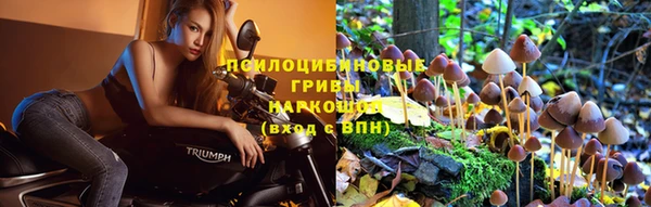 mix Медногорск