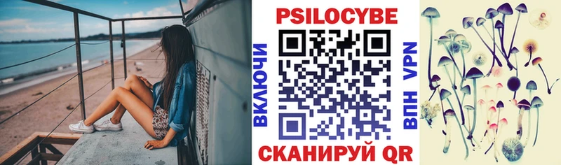 Галлюциногенные грибы мицелий Краснодар